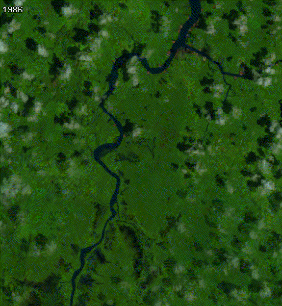 Animated river evolution